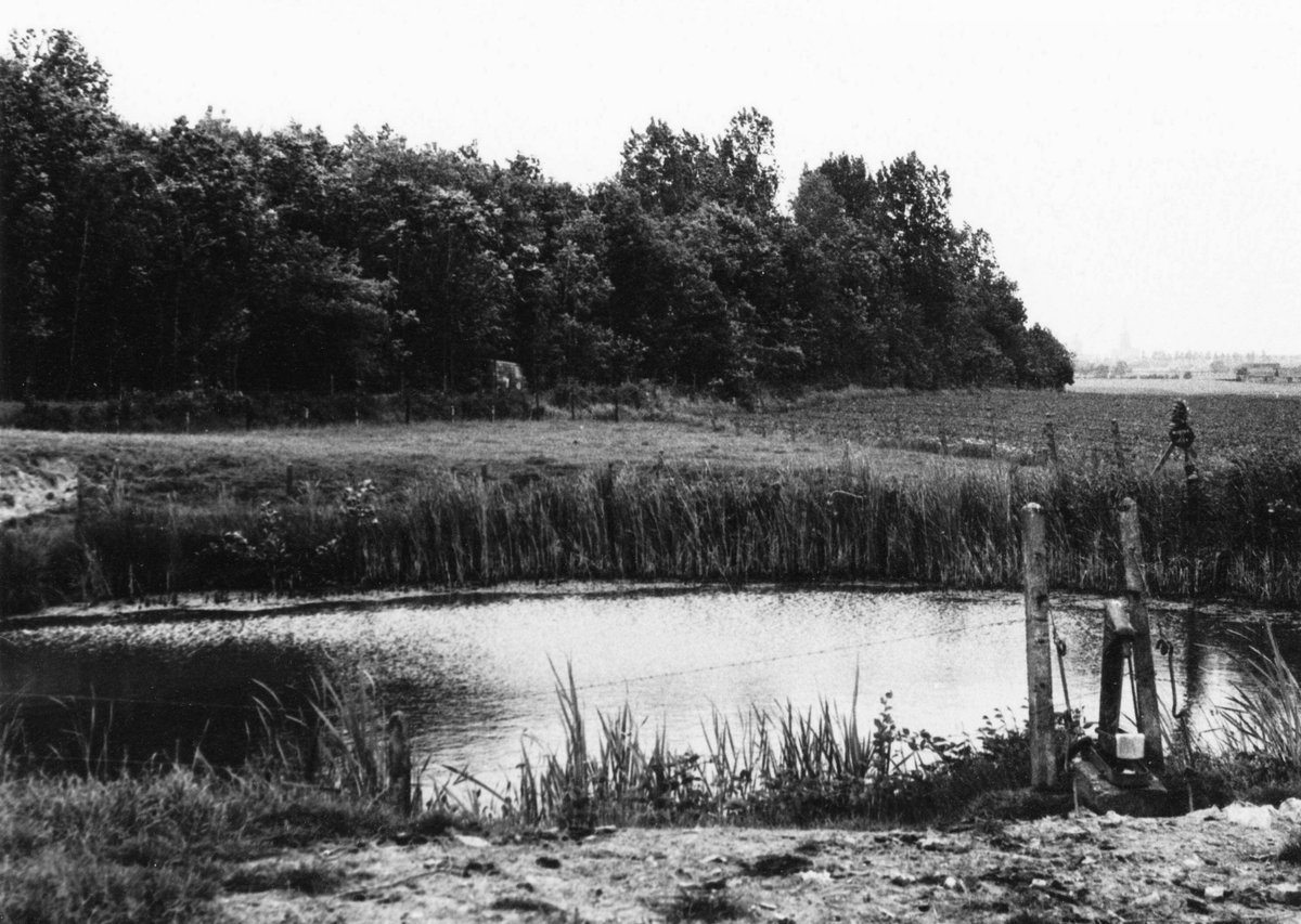  #WFA40: John Giles' photograph of a  #WW1 mine crater at Railway Wood on the Bellewaarde Ridge near Ypres, now filled in, taken in the early 1970s.