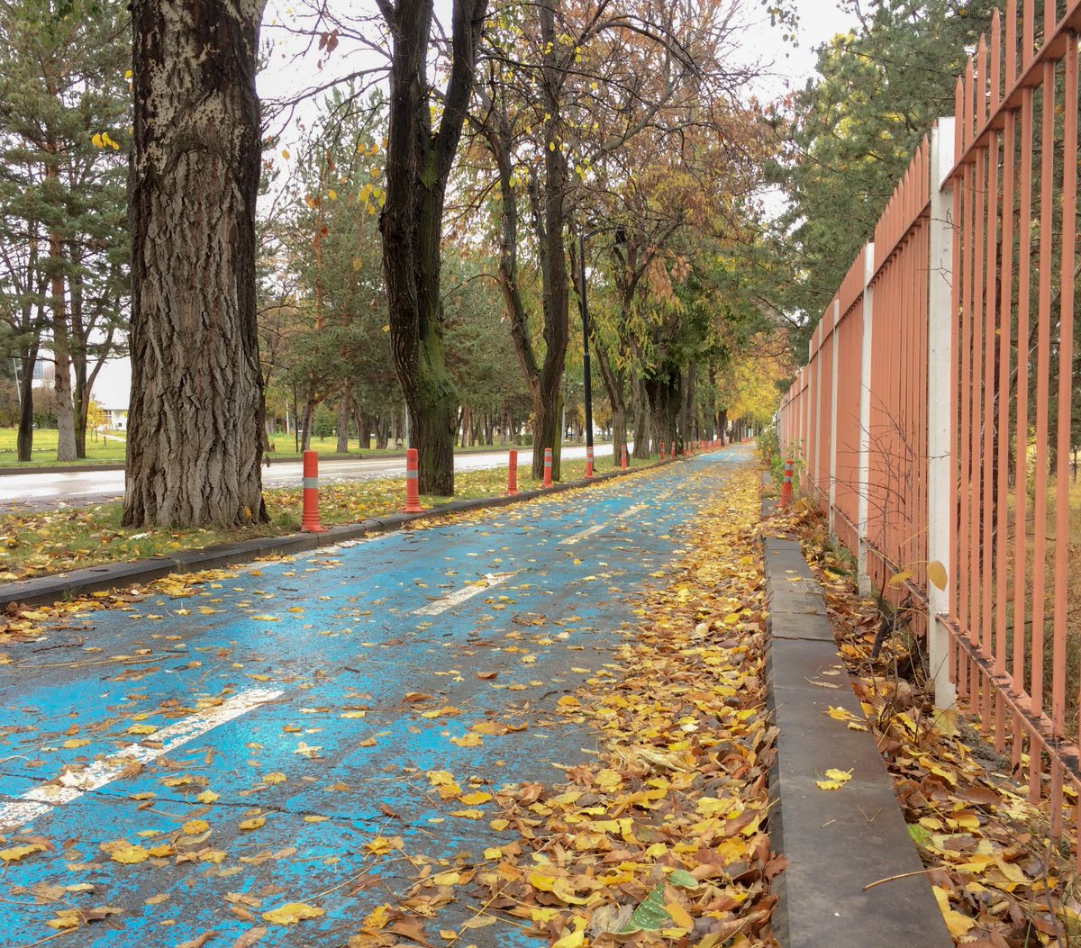 📸 #AtatürkÜniversitesi✨🌧️🍃🍂

"Bir yağmur bilirim bir de kaldırım
Biri damla damla alnıma düşer
Diğerinde durup göğe bakarım
Ne şehir ne deniz kokan gemiler
Bir yağmur bilirim bir de kaldırım"

#SezaiKarakoç