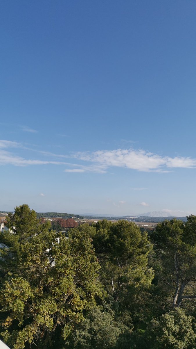 Borisatreactis's tweet photo. Le télétravail dans le sud ... https://t.co/f4PdFat0BZ