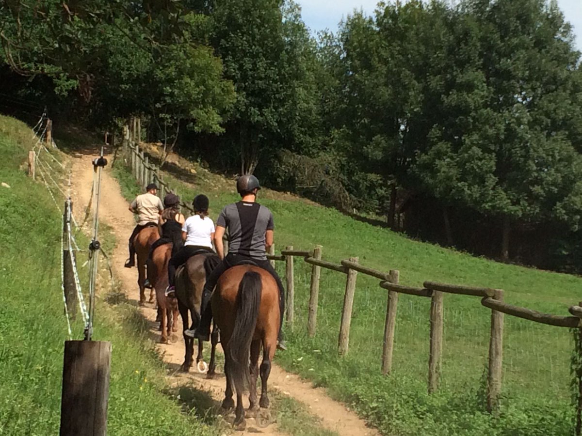 Baztan_Bidasoa's tweet photo. ¿Qué tal un paseo a caballo por @Baztan_Bidasoa?
#Ordoki Zalditegia #Hípica te lleva al trote y al galope 🐎🐎🐴
Reservas: 📞📞+34 616.160.115
Zaldi gainean, natura arnastuz!
https://t.co/lOTeec1r9e https://t.co/9EoXzeFBLc