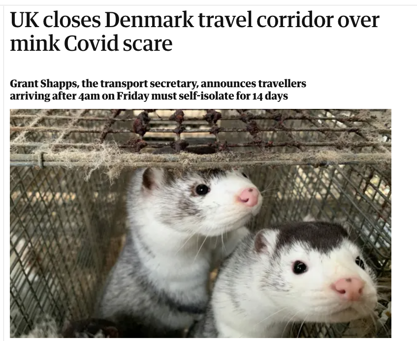 Or: just close fucking mink farms.