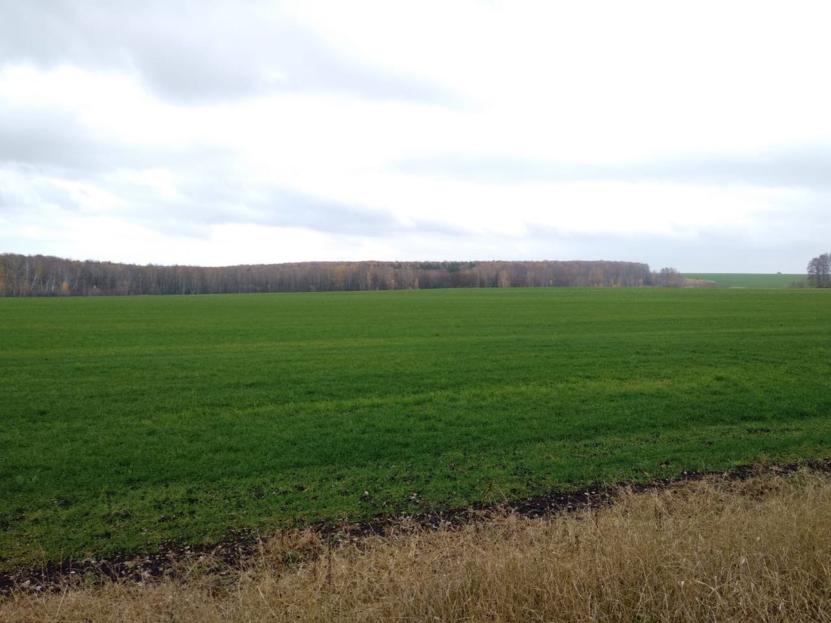 Agro.Club RUSSIA tweet media