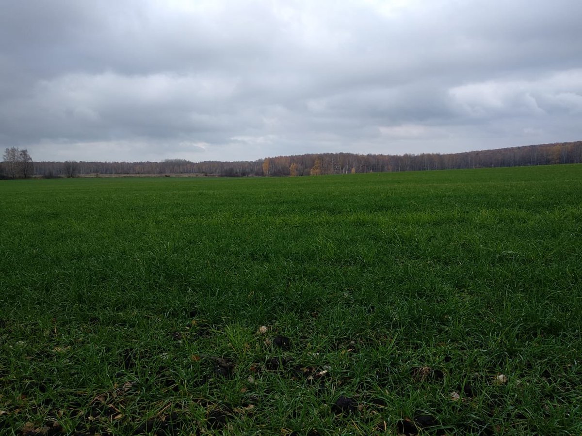 Agro.Club RUSSIA tweet media