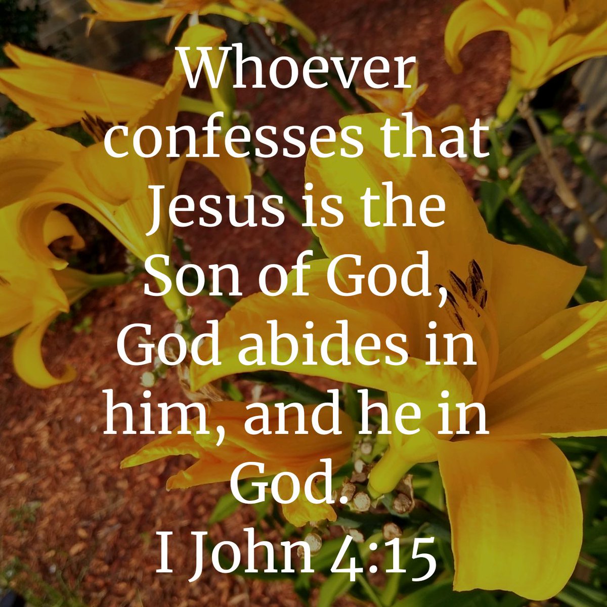 GaryLHicks's tweet photo. Whoever confesses that Jesus is the Son of God, God abides in him, and he in God.
I John 4:15 NKJV

Thank You, Lord, for Your abiding presence in my life! - GH
https://t.co/puwHO6KtuM https://t.co/r9OOpeDVEH
