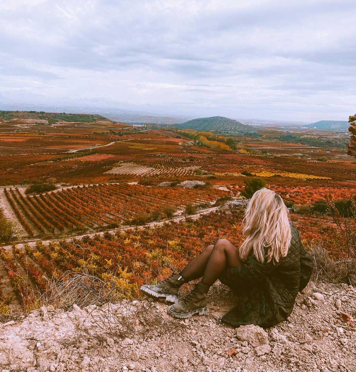 Rioja Wine España tweet media