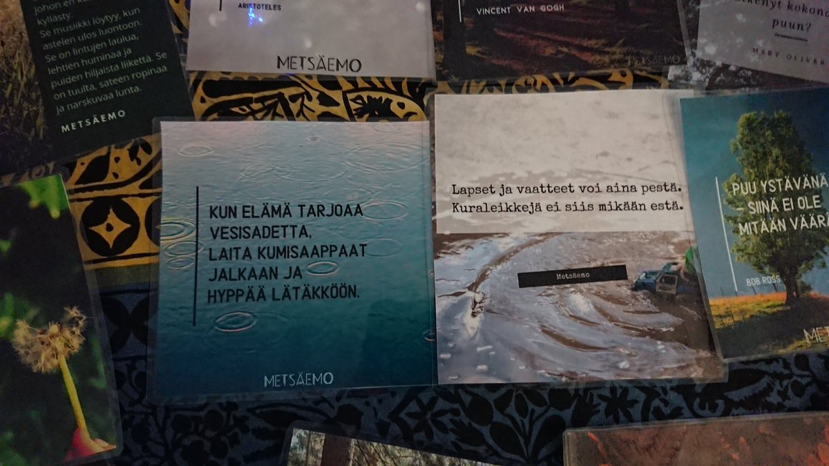 HVirenius's tweet photo. Näillä mietelauseilla tämän viikon loppuun ja kohti ensi viikkoa. Onni on kun tietää, että kaikki lapsiryhmät ovat viikoittain metsässä ja useimmat monta kertaa🤩
Sadetta tai paistetta kaikki metsään nauttimaan. #varhaiskasvatus @HelsinkiOppii https://t.co/mCfuvZxJNC