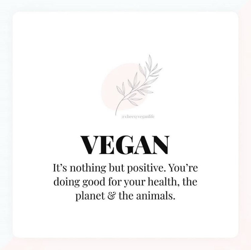 EnviroThinkNow's tweet photo. So proud of all the vegans out there💚‼️
-
Follow @envirothinkchange 
-
📸- @cheesyveganlife https://t.co/WCHmcxEIr7