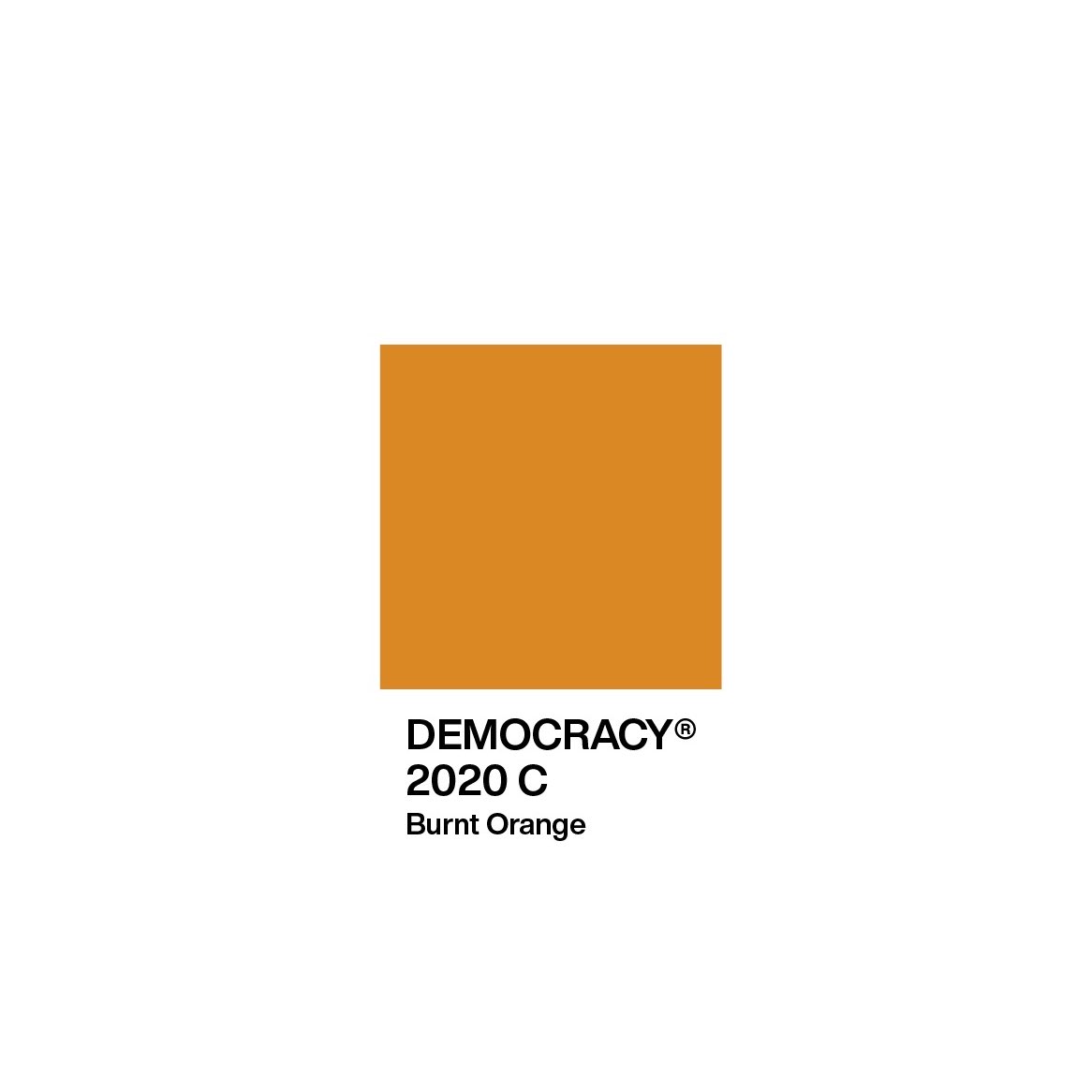 Colour of the year: Democracy