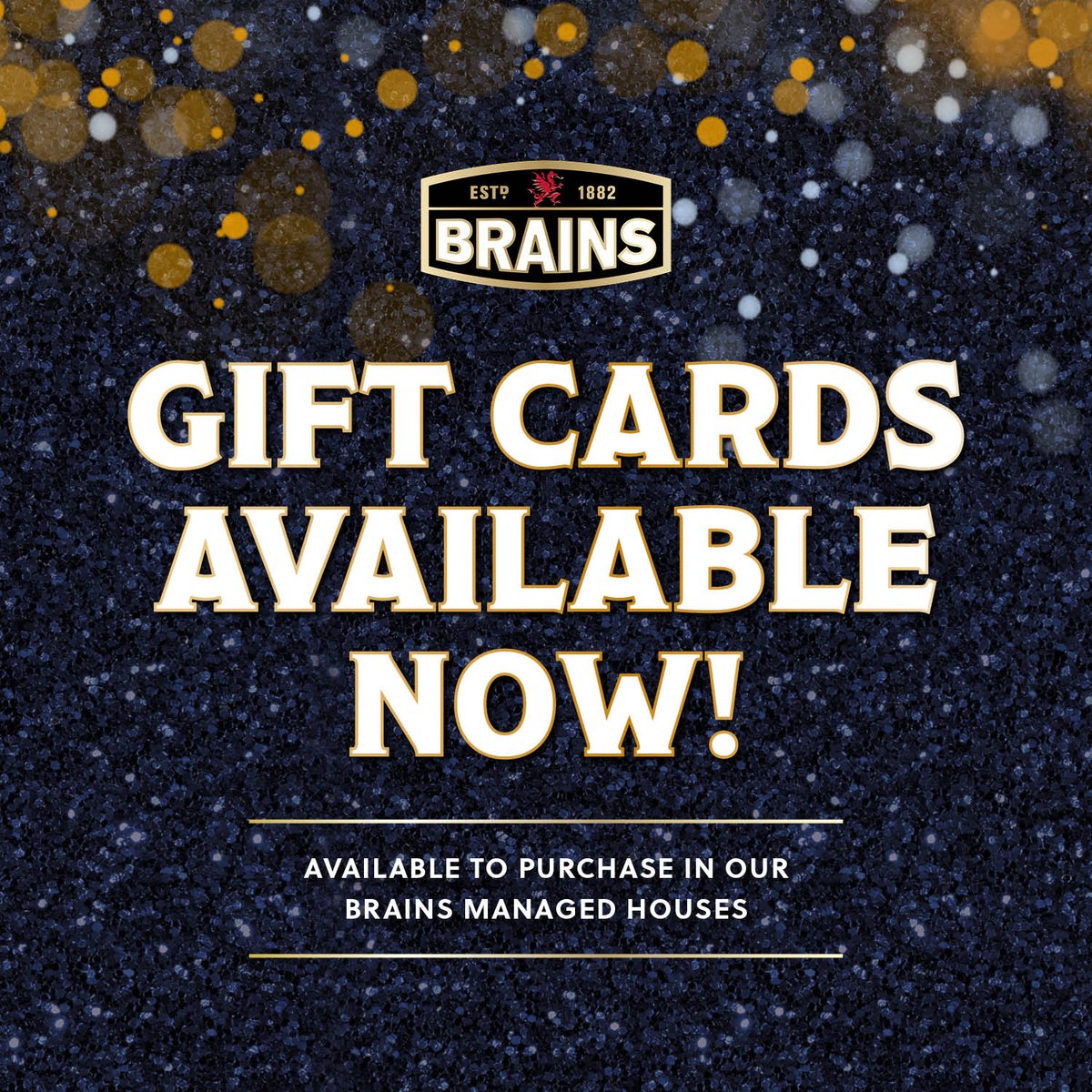 Unsure on what to get someone this Christmas?

Why not spoil them to an evening out or a few pints with our Brains gift cards