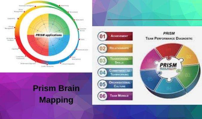 FionaGrey6's tweet image. Tap on the PRISM Brain Mapping to boost your and your team’s #performance .Connect with EnHansen Performance, a renowned name that leverages the latest #neuroscience  research to help people.
To know more:tinyurl.com/y3wwoh3y

#prismbrainmapping
#prismbrainmappingtraining