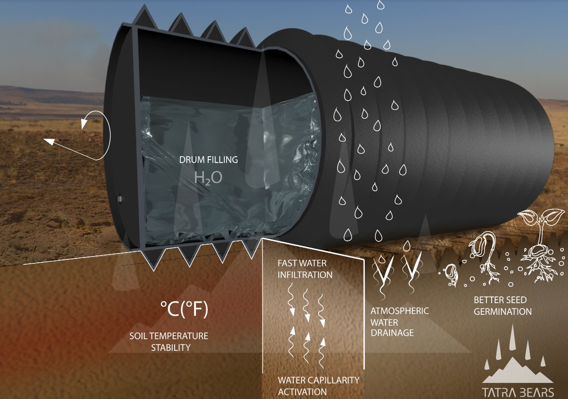 Water , temperature and  germination.