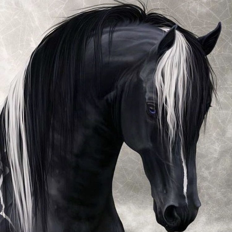 DeckledEdgeArt's tweet photo. Happy Friday to all!
πΌπΌπΌπΌπΌπΌπΌπΌ
I absolutely love this stunning horse π π€π π€π π€π
Check out horse and animal cards and prints over on my websiteπ
#greetingscards #equinecards #artist #horseart #horselover #horselife #animallover #animalart #equine #equinelover #equi https://t.co/iSsUR2yOeF
