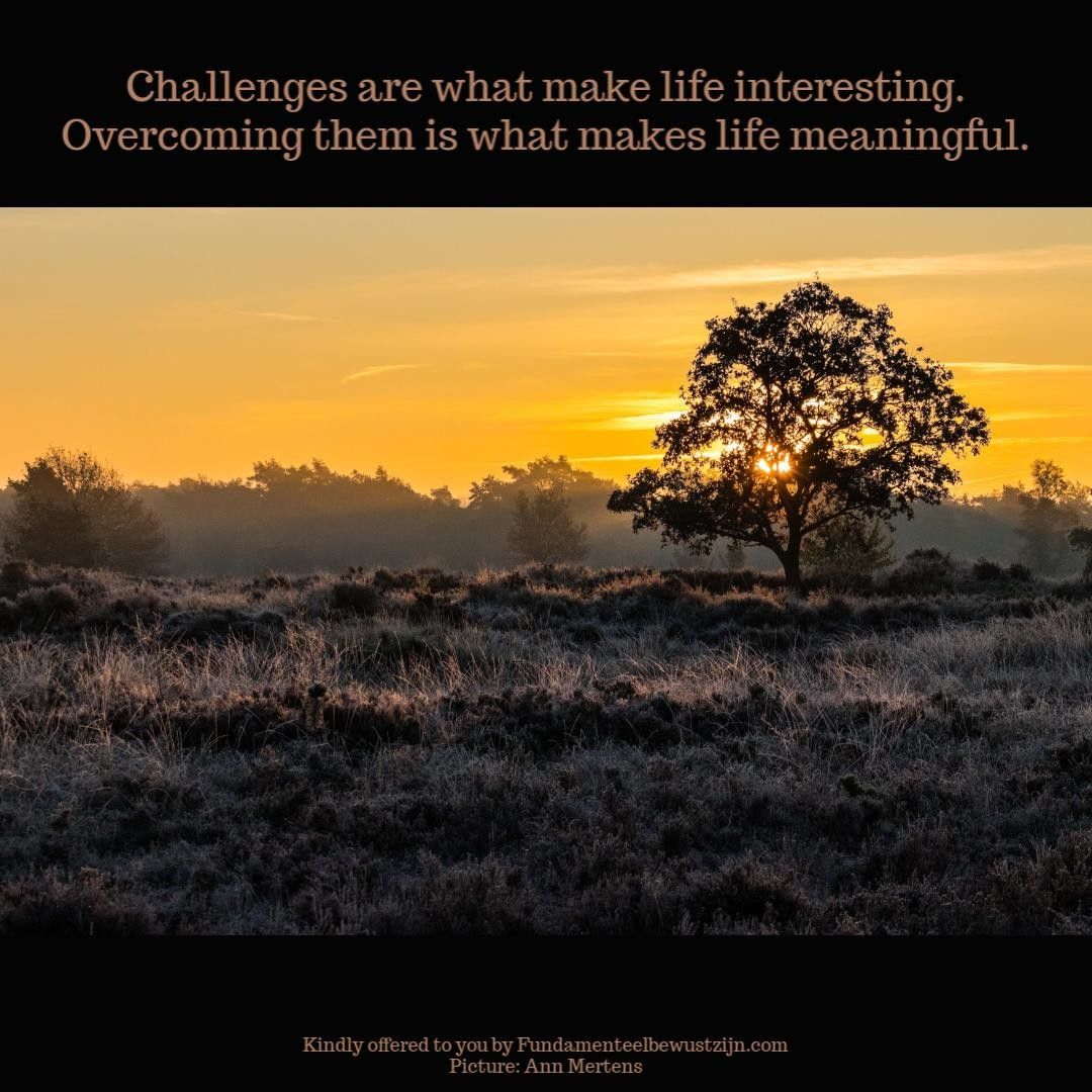 LisbethPeeters's tweet photo. Hoe zou het zijn om uitdagingen op een serene manier aan te gaan?
Klik op de link in bio of mail me lisbeth@lisbethpeeters.com.
#meditatie #authenticiteit #sereniteit #fundamenteelbewustzijn https://t.co/HZYsQptrnT