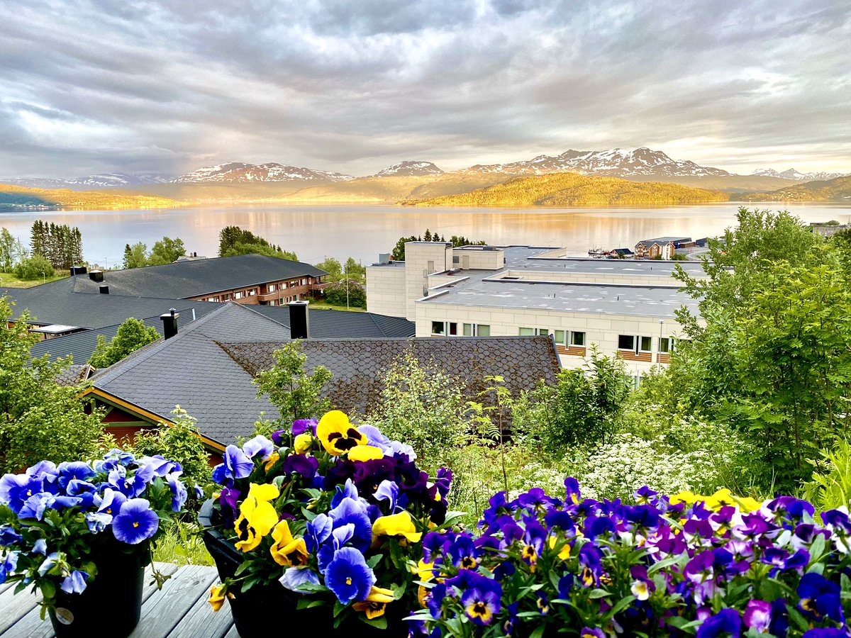 dm_eliseev's tweet image. Вот и заканчивается «эпоха» фоточек с террасы. Вчера позвонил хозяин и сообщил, что дом будет продаваться. До марта нужно найти новое жильё. Теперь у меня завышенные требования относительно вида из окна. Хочется как минимум не хуже того, что сейчас. Но понимаю, что будет сложно.