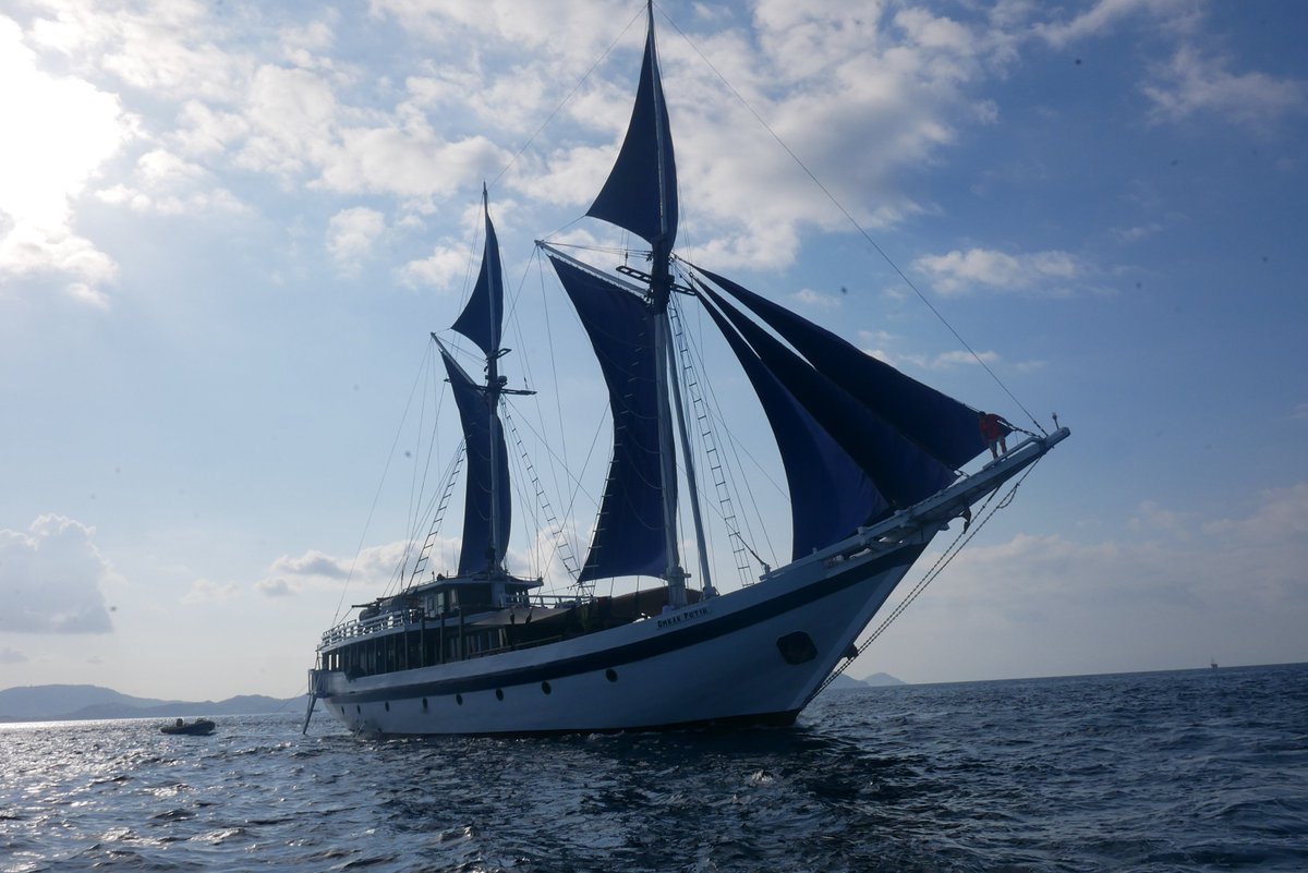 Selective Asia tweet media