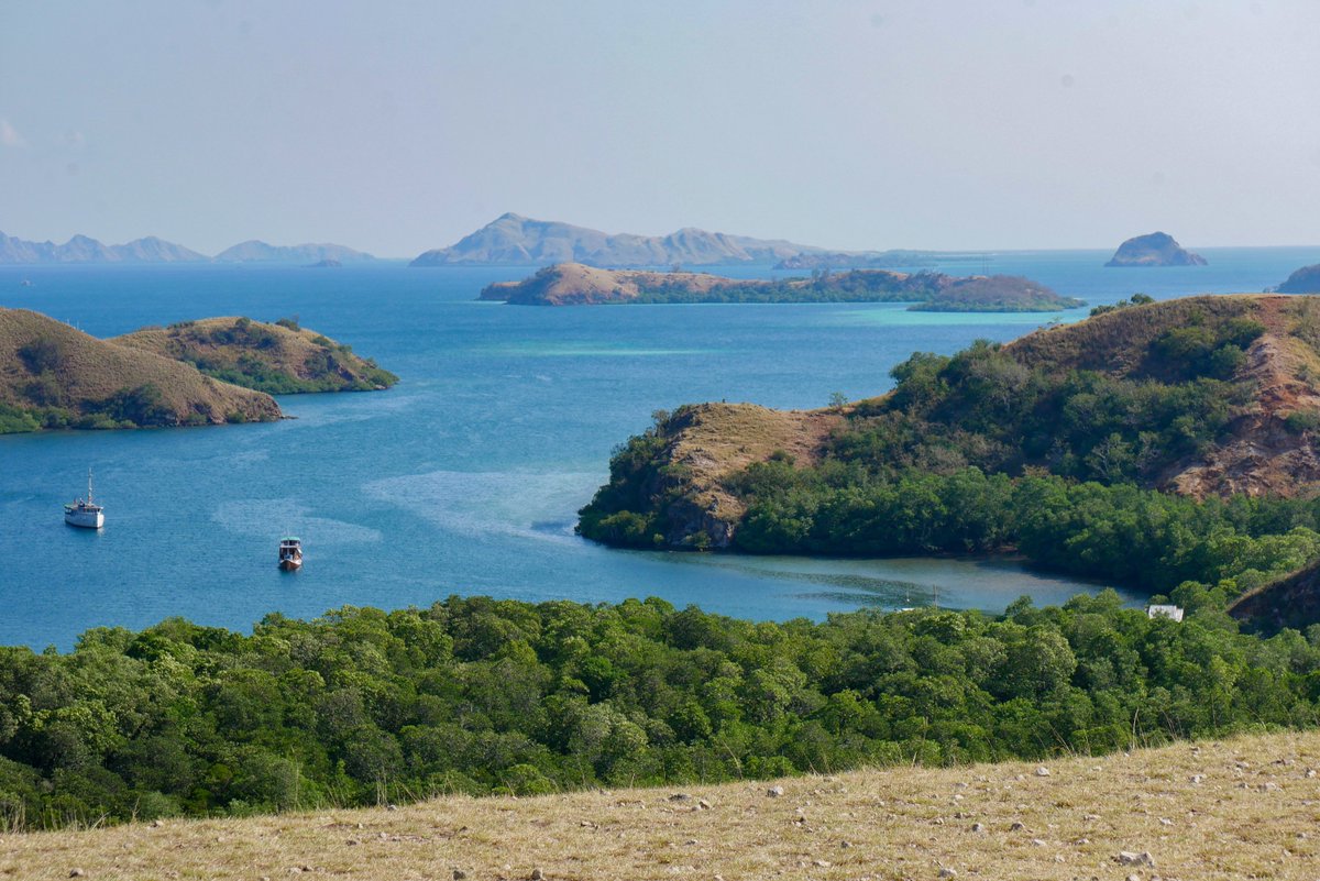 Selective Asia tweet media