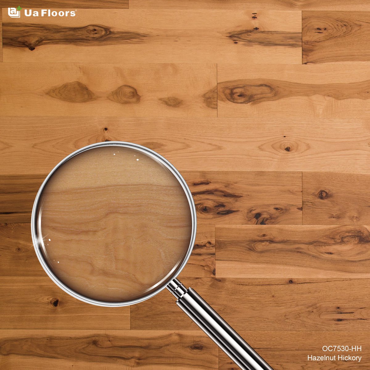 uafloors's tweet photo. 📣One of the most popular choices of hardwood flooring✏️ #Diversity-With a wide range of colors, grades, and textures.✏️ #Sturdiness-Has an aesthetic appeal and hardness rating💌 Welcome to Join #UaFloors https://t.co/t3taeAjHk2 #HickoryEngineeredFlooring https://t.co/BmntdGJddw