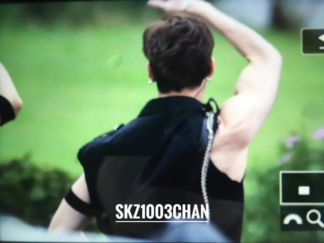 — bang chan’s arms; a super necessary thread  #StrayKids  #skz