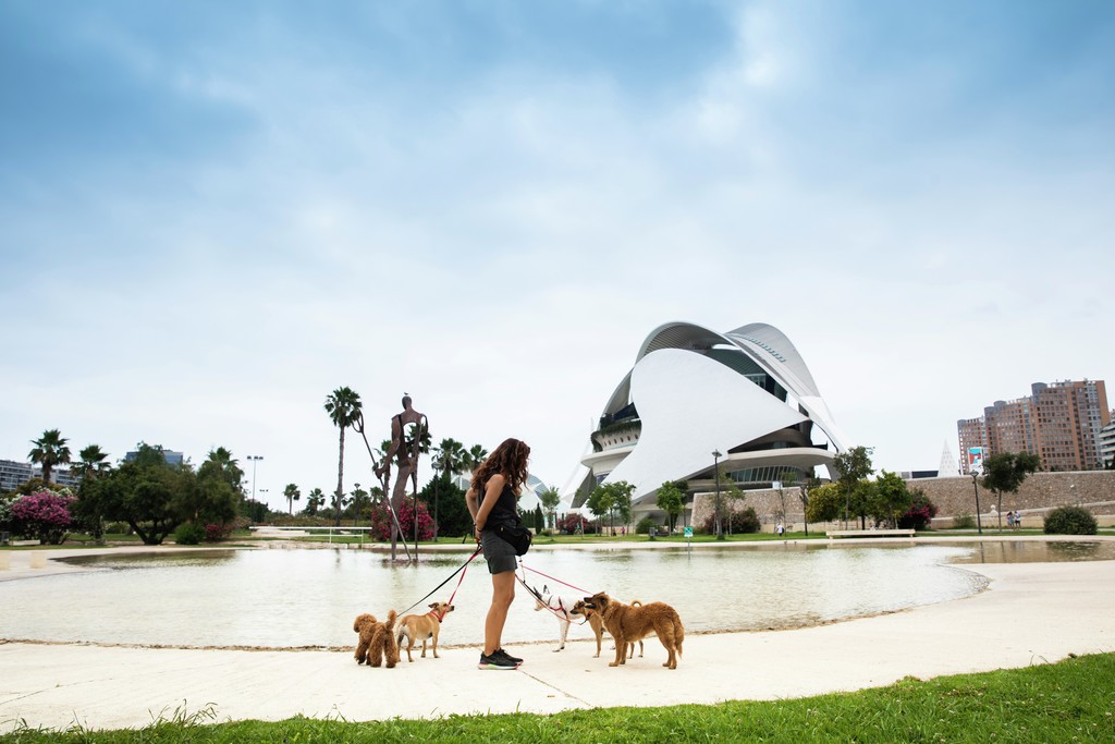 Valenciaturismo's tweet photo. En @Travelguau han nominado a València como Mejor Destino Petfriendly de España. ¡Desde hoy mismo podéis apoyar la candidatura de nuestra ciudad con vuestros votos!

https://t.co/EnW26lpLZ2

#PonteEnModoValència https://t.co/Vgsm1R8ceJ