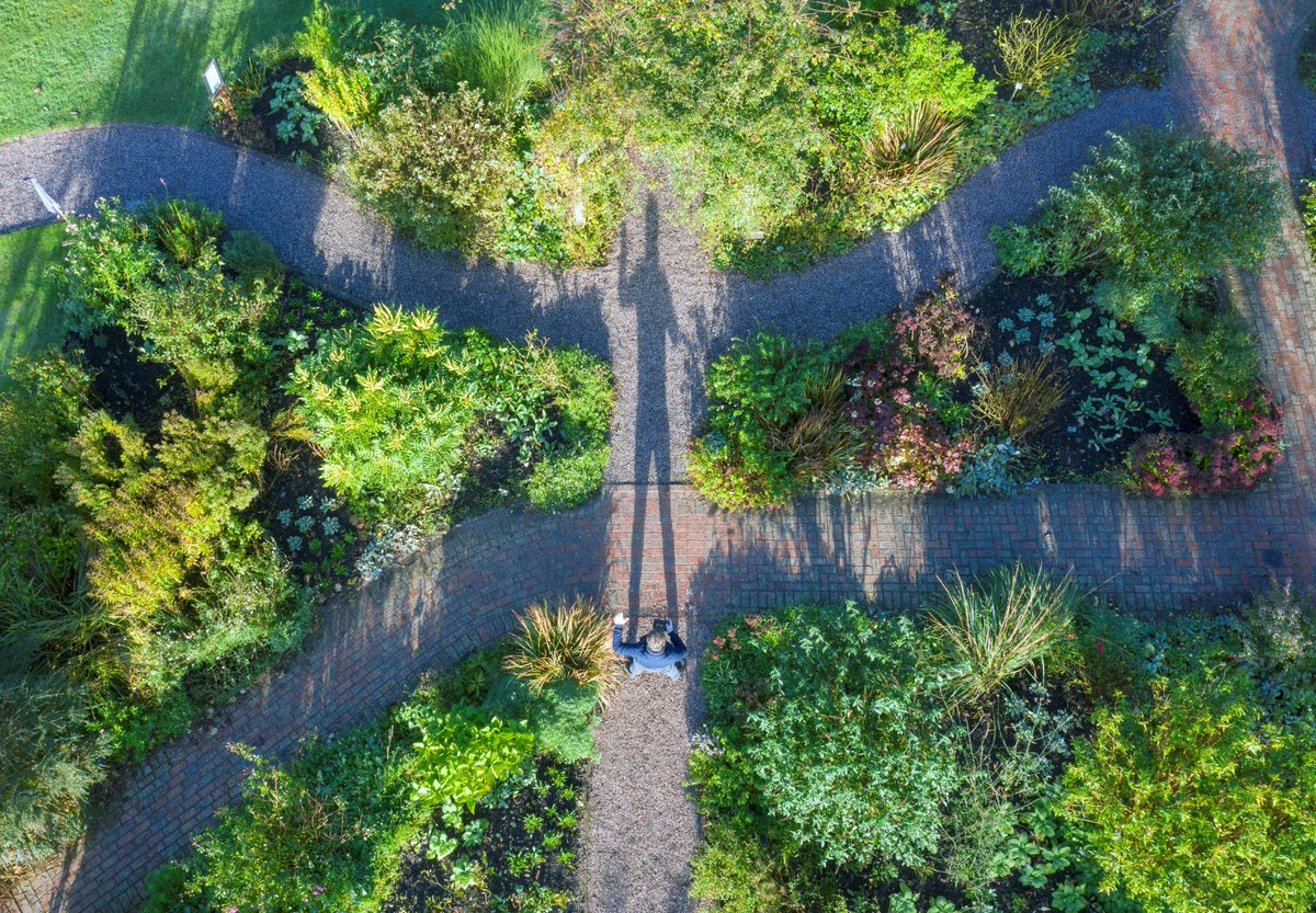RHSPressOffice (@rhspressoffice) on Twitter photo We’re in awe of this fantastic image captured by <a href="/bigladderdrone/">𝔹𝕚𝕘 𝕃𝕒𝕕𝕕𝕖𝕣 ℙ𝕙𝕠𝕥𝕠𝕘𝕣𝕒𝕡𝕙𝕖𝕣 ™</a> at <a href="/RHS_Rosemoor/">RHS Garden Rosemoor</a> 📸🌿
It also featured in the Telegraph's Pictures of the Day: telegraph.co.uk/news/2020/11/0… We’re in awe of this fantastic image captured by <a href="/bigladderdrone/">𝔹𝕚𝕘 𝕃𝕒𝕕𝕕𝕖𝕣 ℙ𝕙𝕠𝕥𝕠𝕘𝕣𝕒𝕡𝕙𝕖𝕣 ™</a> at <a href="/RHS_Rosemoor/">RHS Garden Rosemoor</a> 📸🌿
It also featured in the Telegraph's Pictures of the Day: telegraph.co.uk/news/2020/11/0…
