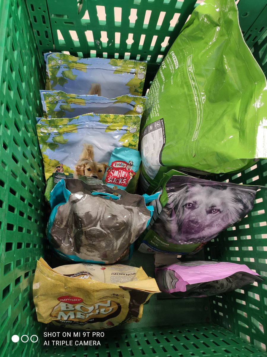 CantabriaFelina's tweet photo. Estamos ya en el @EROSKI de la calle Floranes en Santander, recogiendo alimentos y arena para los gatos de la prote y los perros de la @ProtectoraPATAS Te esperamos.
#6novembre2020 #RT #Difunde #Comparte #AYUDA https://t.co/xYaEpOX5Sq