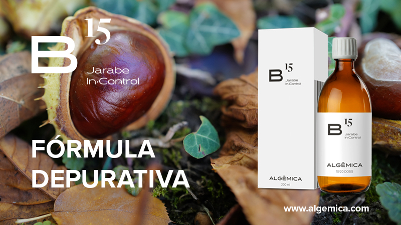 algemica's tweet photo. Sabies que el Xarop B15 d’Algēmica, conté extracte de castanyer d’Índia? El castanyer d’Índia té una gran importància sobre el sistema vascular, a l'hora de reduir la inflamació venosa. Informa-te’n a la teva farmàcia Algēmica més propera o al nostre web. https://t.co/QupmB5jePg https://t.co/cuIH0gWlBZ