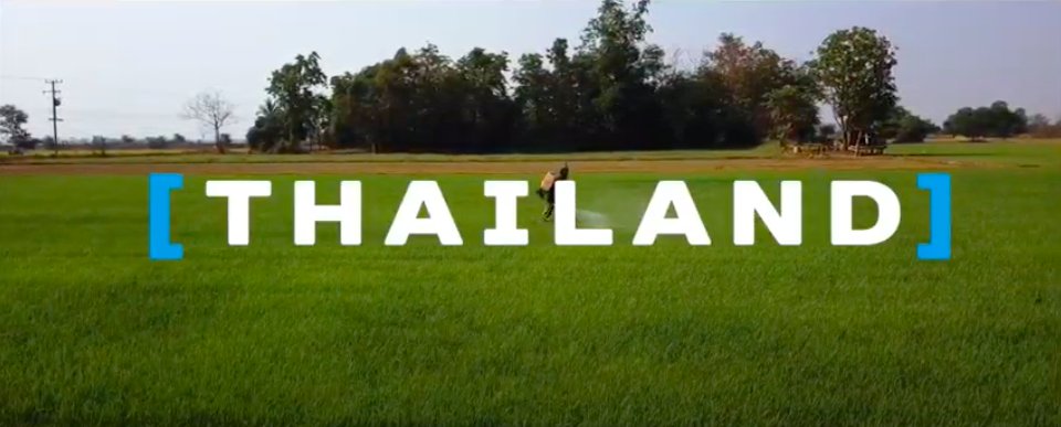 paconadal's tweet photo. ¡Acabo de estrenar vídeo en mi canal de Youtube! ¿Todavía no lo has visto? Te entrarán unas ganas locas de viajar a #Tailandia el país perfecto  para quien quiera iniciarse en el maravilloso Sudeste Asiático.

https://t.co/02cZxOeWt7 https://t.co/xLxOXL86fU