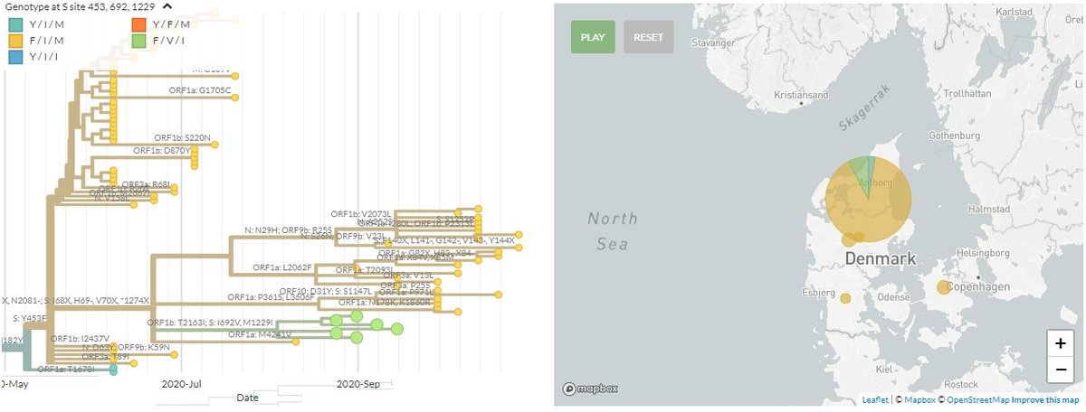 Also as expected, these sequences come from North Jutland (Nordjylland). There are also closely related sequences from the surrounding area, which have 453F (yellow) - some have the deletion (those clustering nearer to the green), some do not. 34/21