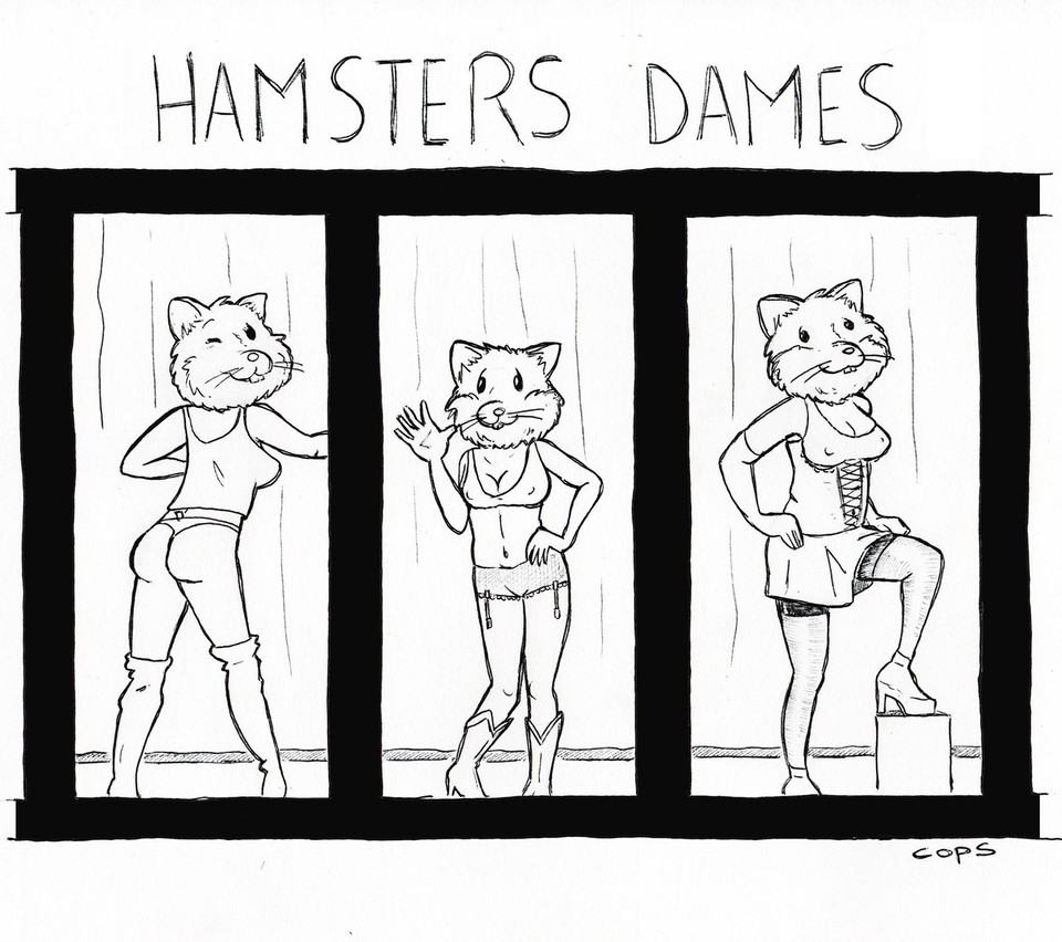 BlaguesDessins's tweet photo. Le dessin de Cops : Hamsters dames
Retrouvez les dessins de Cops sur : https://t.co/VQNx0gcoo7
#DessinDeCops #LesVilainsPetitsCrobards #Cops #Humour #FallaitPasFumer #Hasmters #Amsterdam #HamstersDames https://t.co/28Aep5zsM4