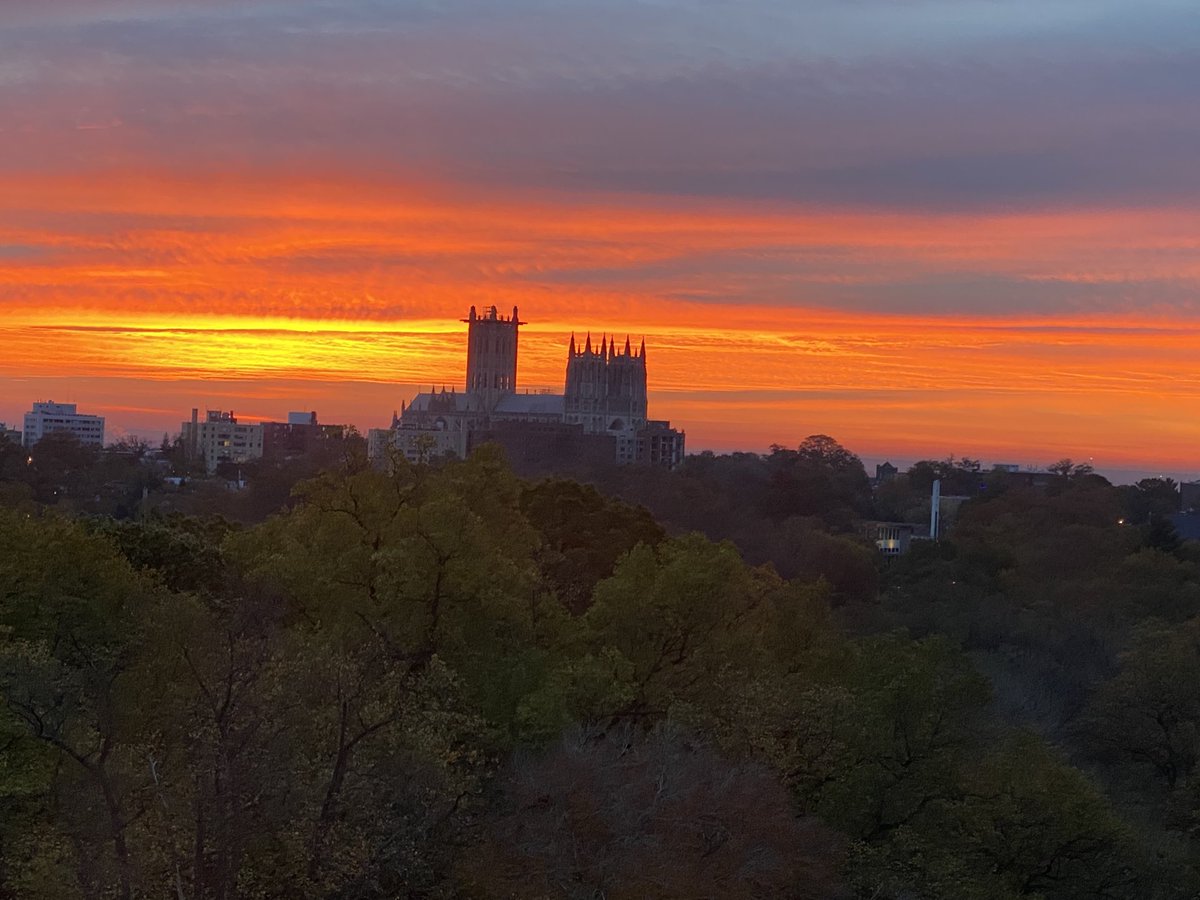 Judy Woodruff tweet media