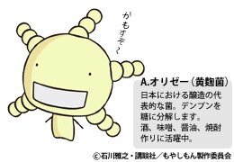 もやしもんのtwitterイラスト検索結果 もやしもんのtwitterイラスト検索結果