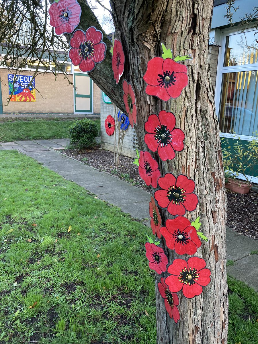 nettlehamjunior's tweet photo. Food bank Friday and Poppy Preparation #tryingtokeepitnormal #thinkofothersfirst #koinonia https://t.co/PCiZxiqyd5