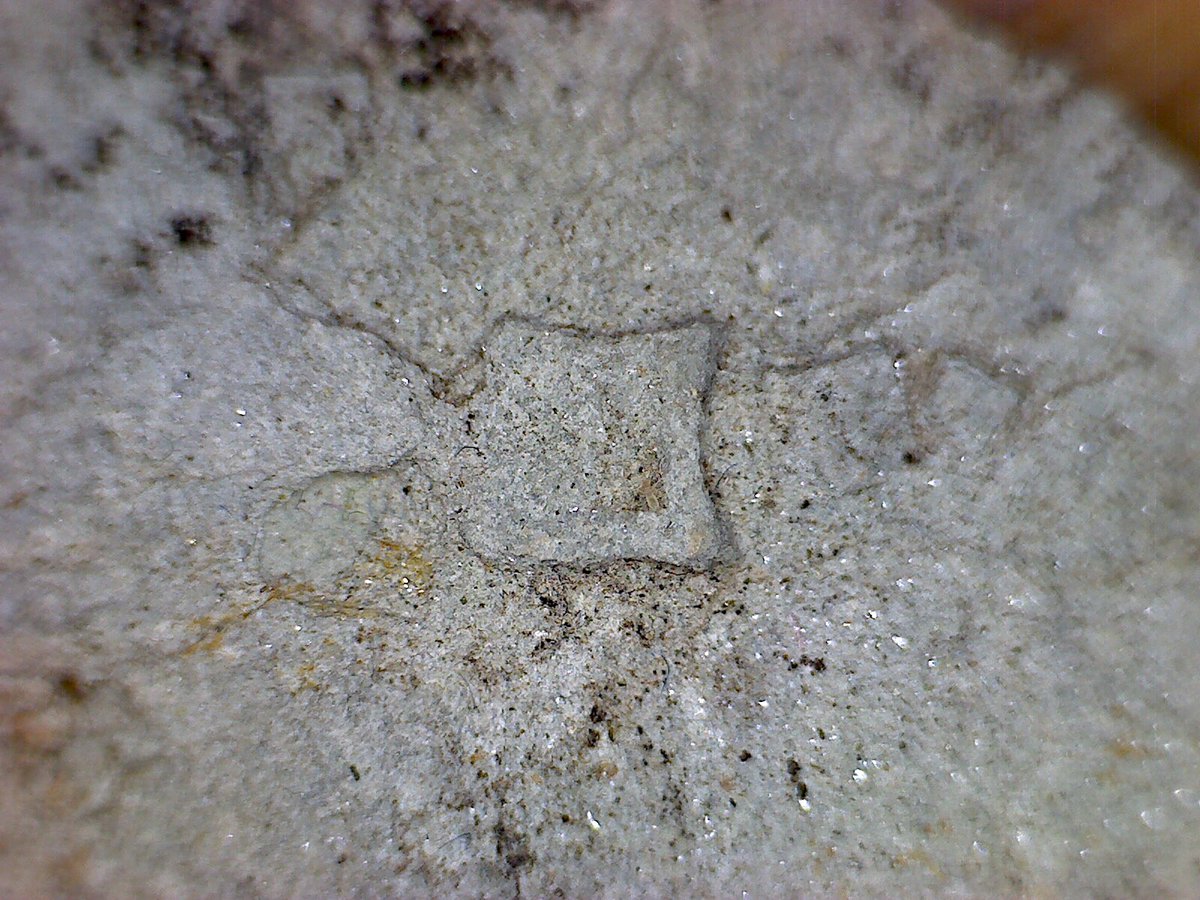 CliveBGS's tweet photo. Day 119: Working from Home #WFH hunting for gold with my mini-microscope today (only found sulphides!) plus couldn’t resist looking at some of my window sill rocks too! #BGSatHome #RockingRemotely #StaySafe https://t.co/QvdnBmGTXL