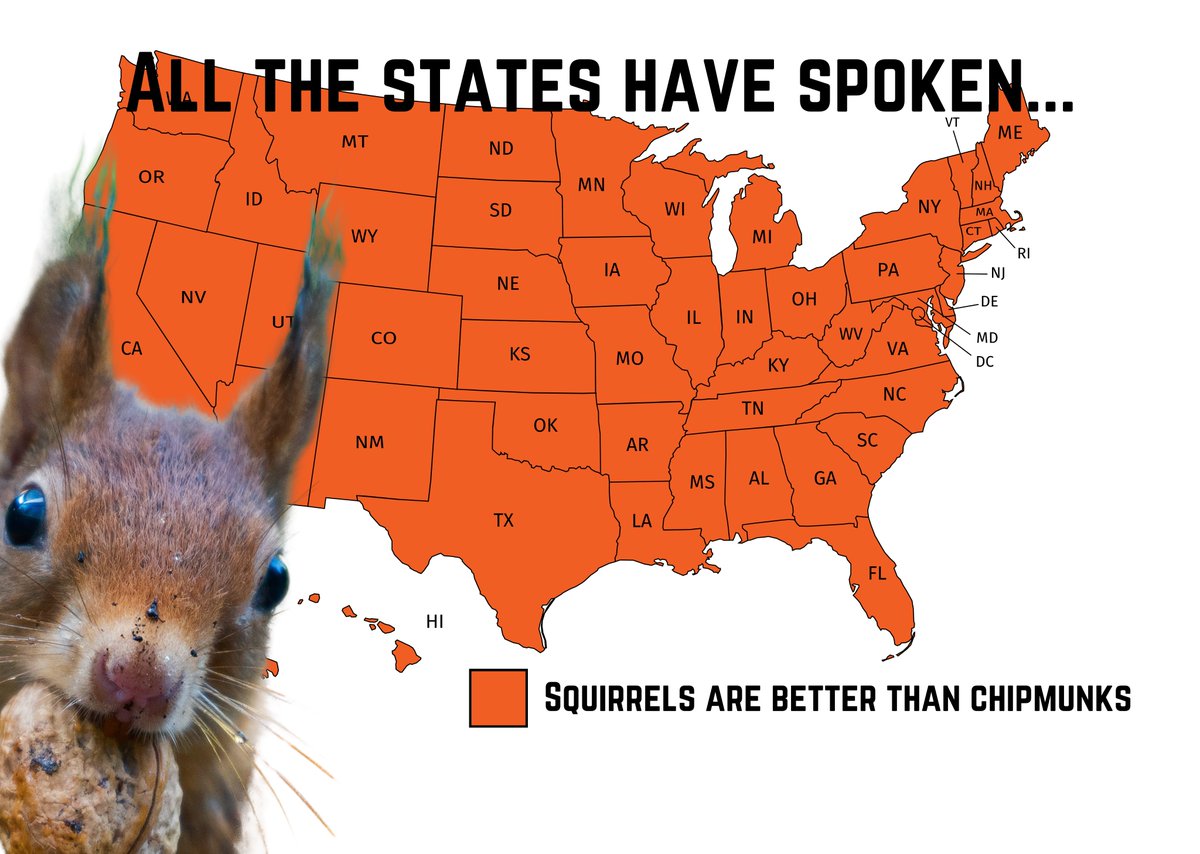 _SquirrelApp's tweet image. IT'S OFFICIAL! The results are in... #vote2020