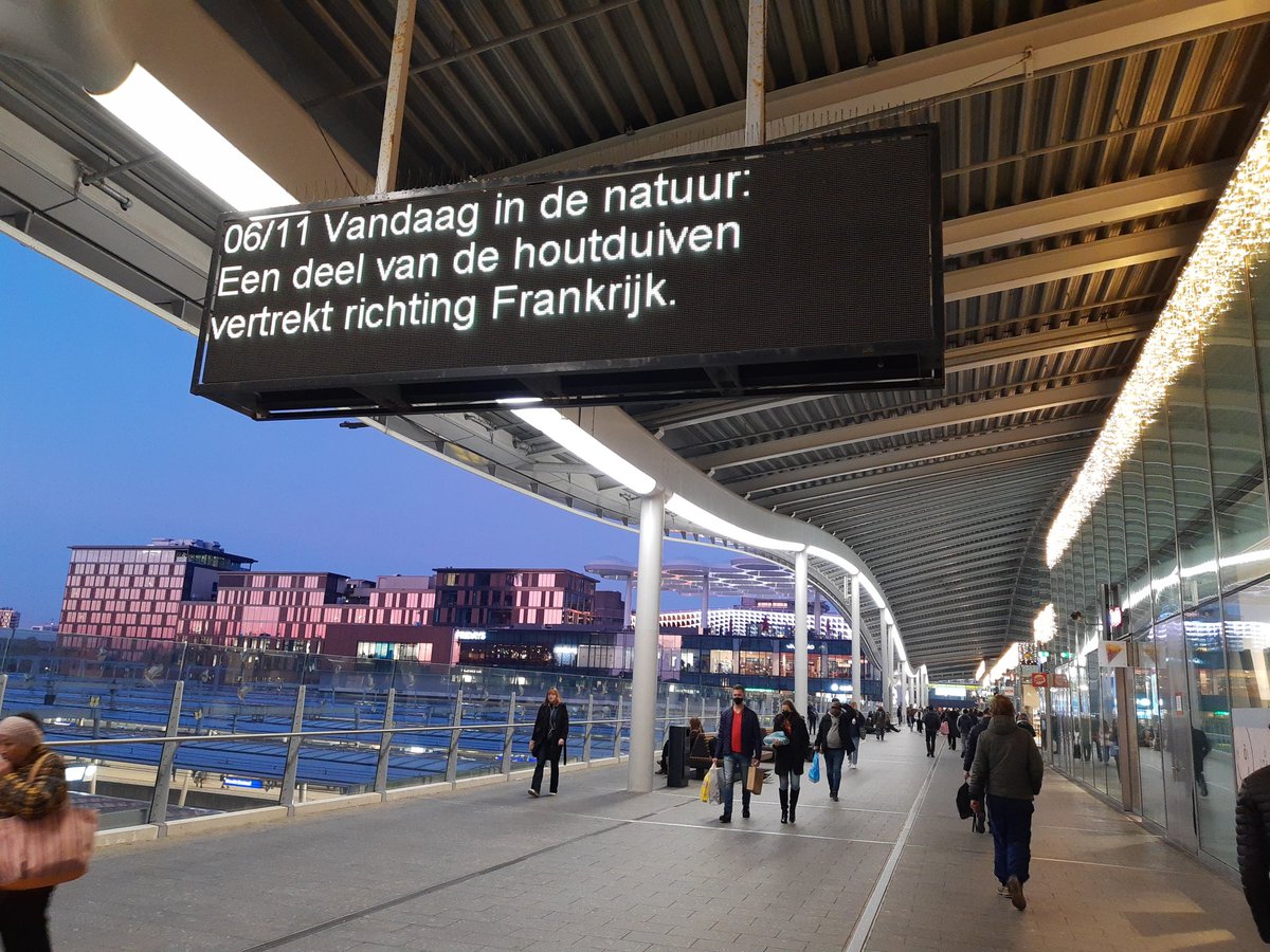 En de kleiduiven? Gaan die naar Spanje?