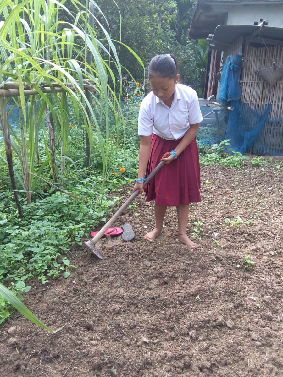 SRFFoundation's tweet photo. Leading the way for a better world and cleaner surroundings, our empowered school student from #Kamprup(M), #Assam created #KitchenGardens in and around their homes as part of our Master Maker and Miss Maker Competition. 
#RuralEducationProgram
 @srflimited https://t.co/iXJSODLNXo