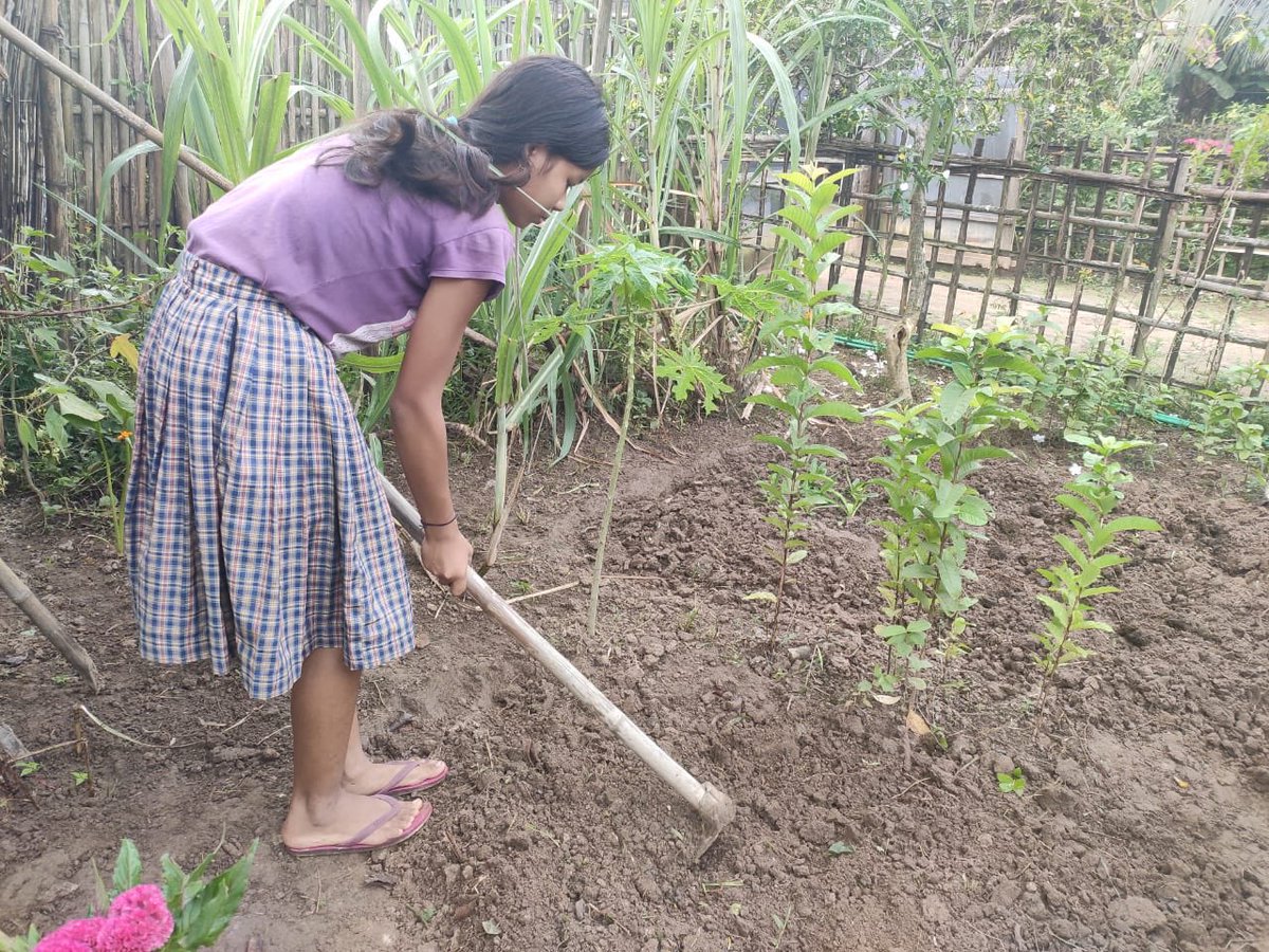 SRFFoundation's tweet photo. Leading the way for a better world and cleaner surroundings, our empowered school student from #Kamprup(M), #Assam created #KitchenGardens in and around their homes as part of our Master Maker and Miss Maker Competition. 
#RuralEducationProgram
 @srflimited https://t.co/iXJSODLNXo
