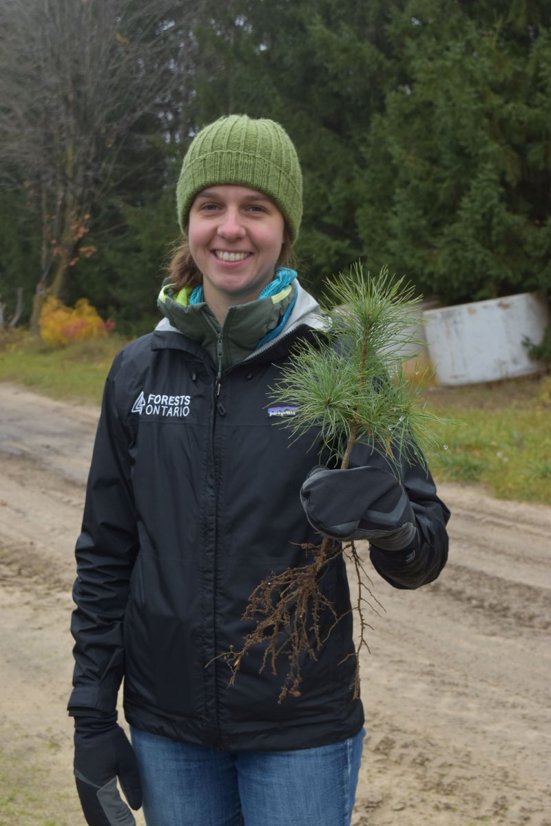 forestscanada's tweet photo. We visited @SomervilleTrees to see many of the seedlings for our #50MillionTreeProgram! Pictured are Elizabeth Celanowicz (Director of Operations), Mark McDermid (Seed &amp; Stock Coordinator), Brent Forbes (Propogation Manager) &amp; Hayley Murray (Forestry Operations Coordinator)! https://t.co/HwLrgF5wpT
