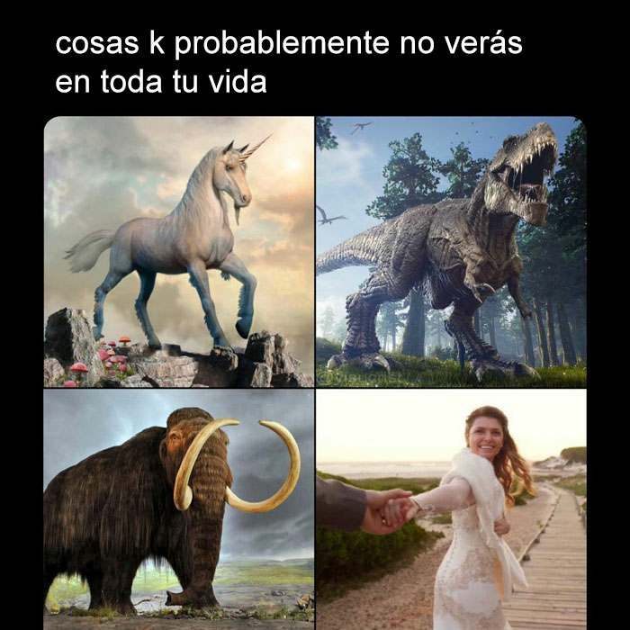 yo keria ver a un t-rex 🤟😔