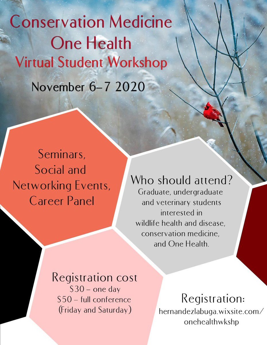One Health Club tweet media