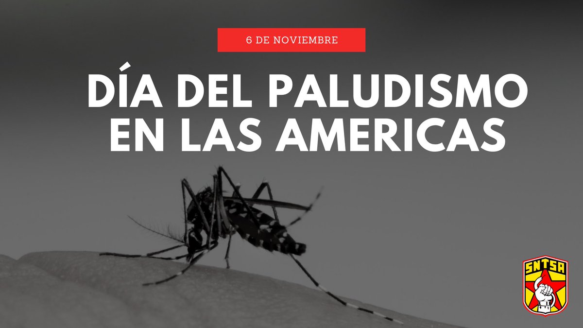 SntsaMX's tweet photo. Hoy celebramos a todos nuestros compañeros que laboran en vectores y que con su esfuerzo mantienen el control de este padecimiento que afecta a varias entidades de nuestro país. @GarciaAyalaM #DiaDelPaludismoEnAmerica #GranFamiliaSNTSA #FelizViernesATodos https://t.co/E7aWqMqoyf