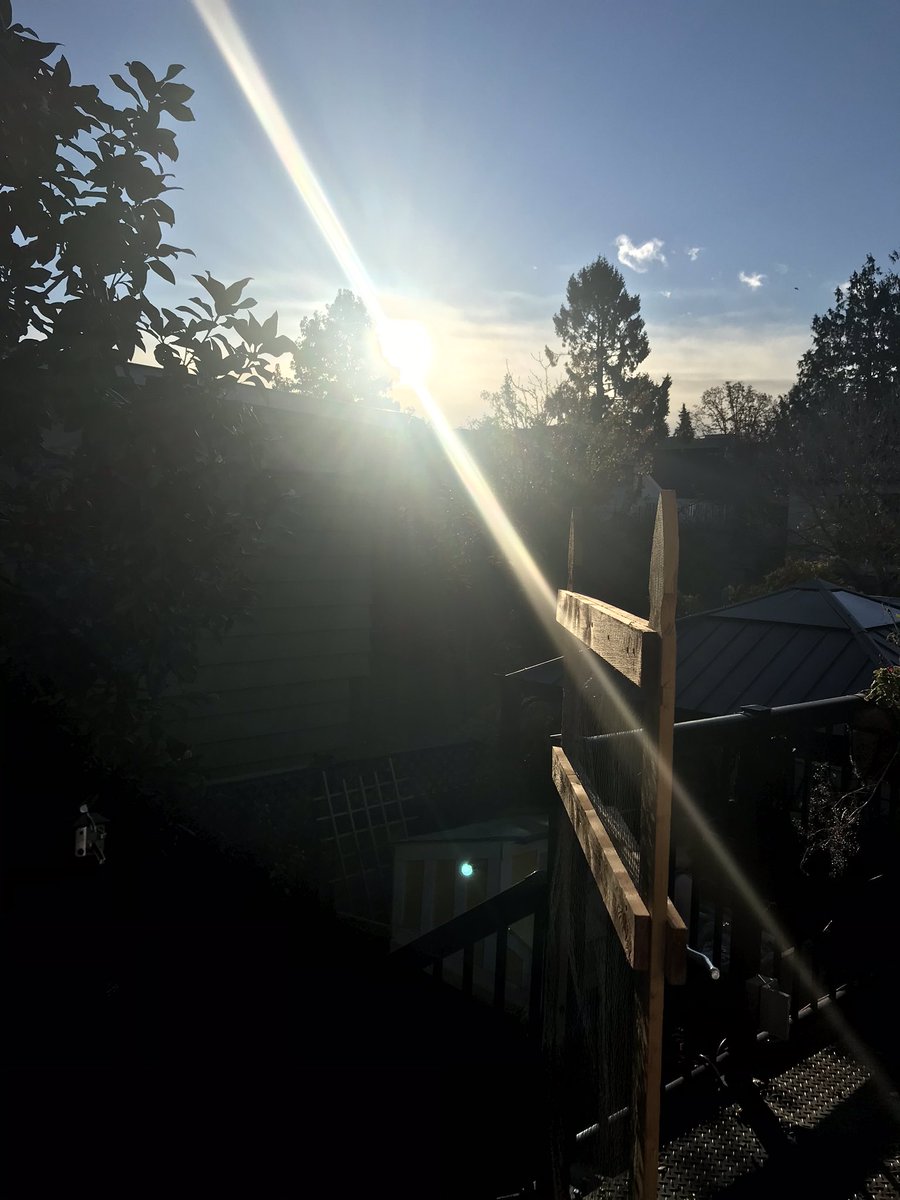 MichelleKOakBay's tweet image. I have never taken a staycation in November, but if ever there was a time, this is it! Loving the overnight count flips in #PA and #GA and seriously considering mimosas for breakfast! 🥂🥳 #electionweek