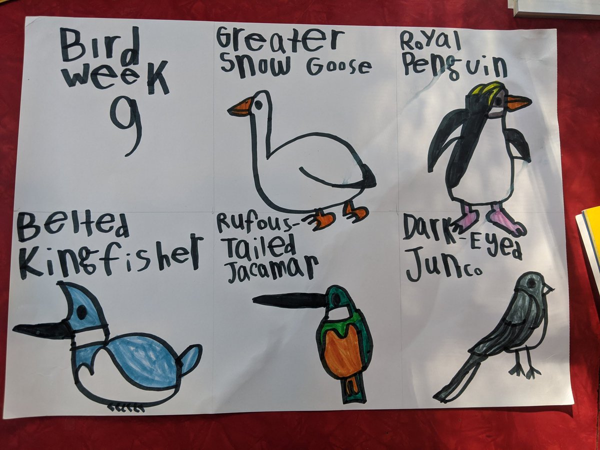 Bird Week 9 complete.