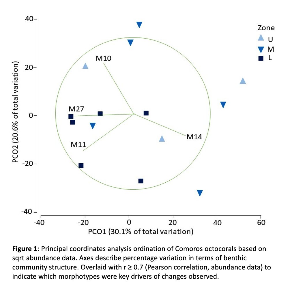 4. #TropiCon20 Our preliminary  #octocoral results suggest the lower  #mesophotic zone harbours depth specialists & distinct assemblages, according to PCO & PERMANOVA analysis.Though anthropogenic impacts on MCEs are poorly understood, litter was recorded in ~50% transects 