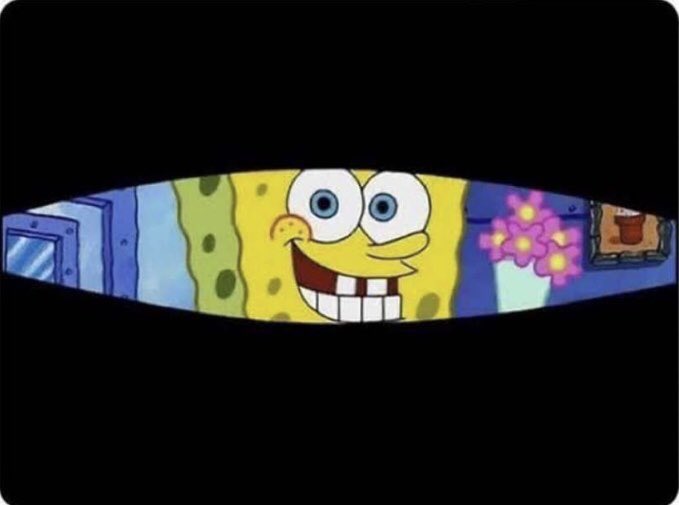 Kids every morning getting ready to annoy you