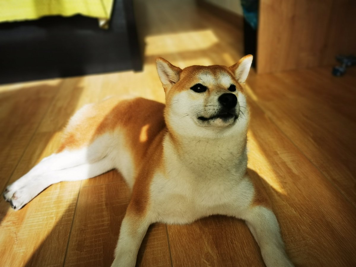 zhijunwang (@zhijunwang) on Twitter photo 