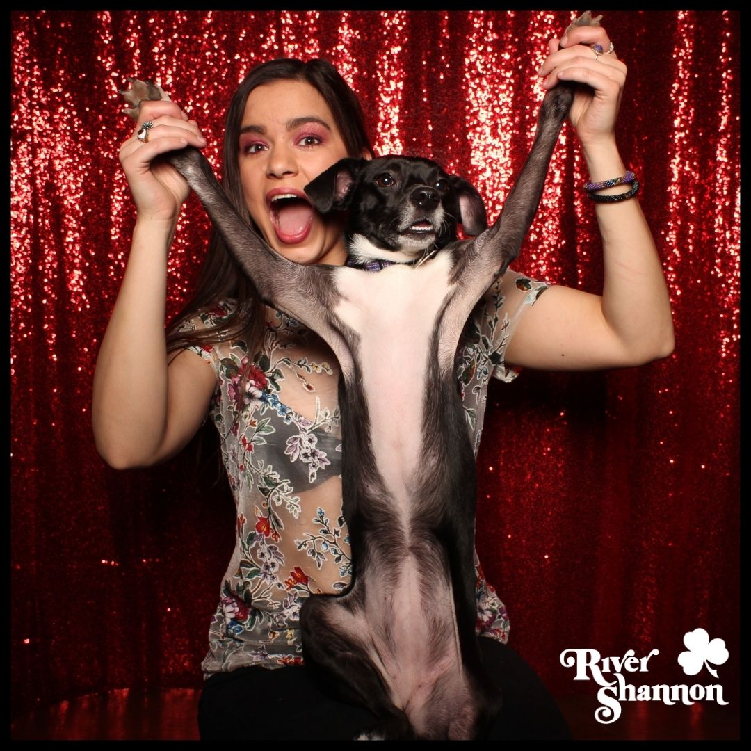 RiverShannonPub's tweet photo. Hands in the air for getting through another week of 2020! We hope you are all staying safe and healthy. Happy Friday!
#rivershannonpub #lmgchicago #chicago #chicagobars
#lincolnpark #dogstagram #dogfriendlybars #neighborhoodbar #carryout #chicagodrinkssafe #chicagodinessafe https://t.co/qbA7d43hd6