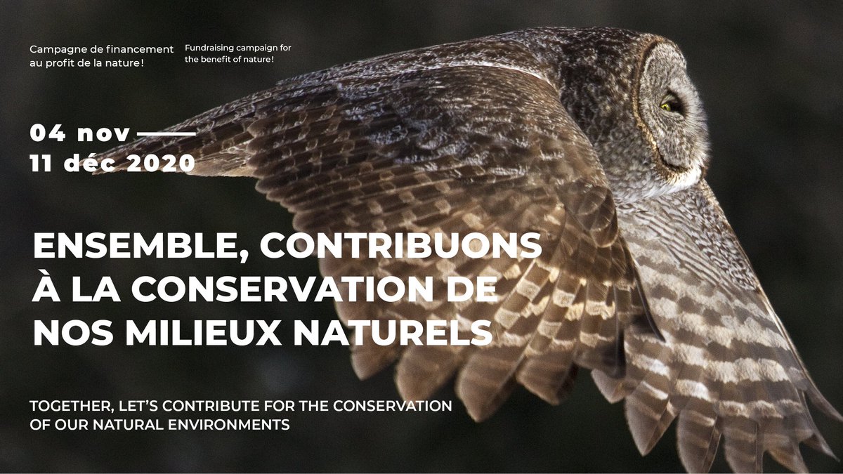 Héritage St-Bernard tweet media