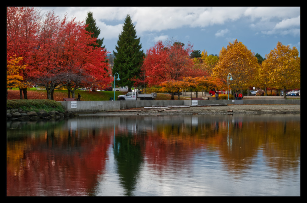 daschstudio's tweet photo. #MaffeoSuttonPark is beautiful this time of year! A view across Swy-a-Lana Lagoon. #NanaimoFall https://t.co/MyNBrhf4N4
