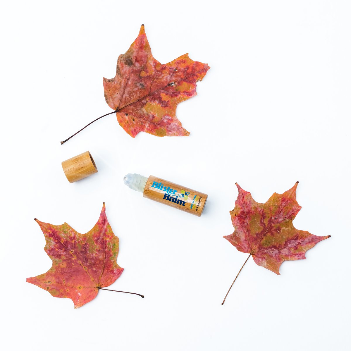 BlisterBalm's tweet photo. 🍂♥️
Fall in love with Blister Balm® Lip Protectant this autumn season.  

#Moisturizing #hydrating #fall #autumn #autumnleaves #leaf #lipbalm #lipprotectant #coldsore #feverblister #coldsoreremedy #jojoba #botanical #jojobaoil #softlips #blisterbalm

https://t.co/1rTXqZWb76 https://t.co/X4zgkeeiwv